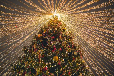 Клеёнка столовая скатерть Decorama Christmas Night (Декорама Новогодняя ночь)  - «Красивейший Новогодний дизайн и высочайшее качество. Теперь можно не  переживать аккуратно ли гости пьют и едят, один взмах влажной салфетки и всё