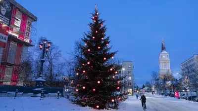 Красивые новогодние шары на елку 8 см гальваника разные цвета оптом в  Украине от интернет-магазина "Сувениры", 1298031571