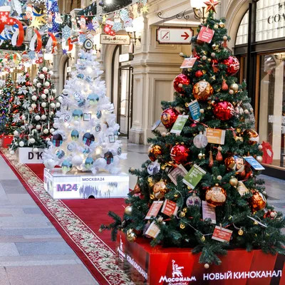 Новогодние елки на Красной площади - 古姆商场最新活动信息