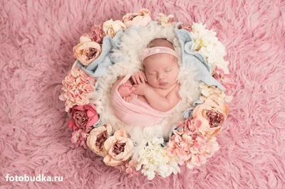 Babies | Cute baby boy, Baby photoshoot, Cute baby girl