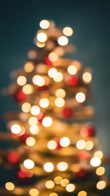 фото новый год красивые картинки: 13 тыс изображений найдено в Яндекс.Карт…  | Fondos de pantalla de feliz navidad, Fotografía de navidad, Árbol de  navidad con luces