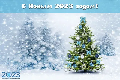 Обои Новый год 1440х900 для рабочего стола новогодние картинки фото обои  скачать