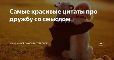 О дружбе красивыми словами: 20 цитат про дружбу, на которые стоит обратить  внимание - 7Дней.ру