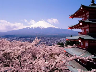 Самые красивые секретные места Японии - РИА Новости, 