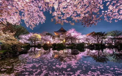 🏛️ 10 самых красивых городов Японии | Smapse