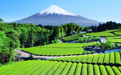 10 самых красивых городов Японии - Top7Travel