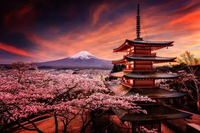 Самые красивые места и необычные фестивали Японии...