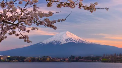 Самые красивые места Японии | Туры из Ростова-на-Дону