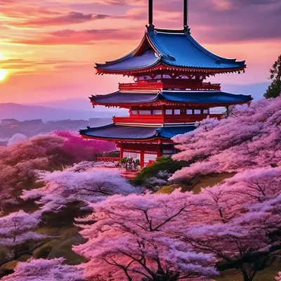 Как отлично отдохнуть в Японии? Красивые места и достопримечательности |  Мир и путешествия | Дзен