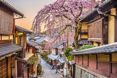 8 самых красивых мест в Японии, которые стоит посетить | Знающий Лимон |  Дзен