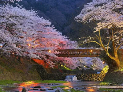 Красивые места Японии | Культура Азии | Дзен
