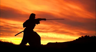 Японские иероглифы воин, дракон, самурай, сила | Японский язык онлайн