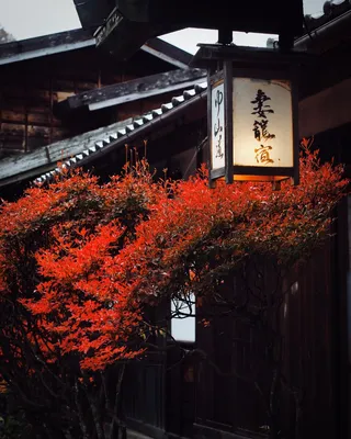 Япония: 3 самые красивые деревни о.Хонсю | Про страны и странности | Дзен