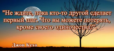 Топ 10: красивых цитат известных людей об одиночестве. |  Шкатулочка_познаний | Дзен