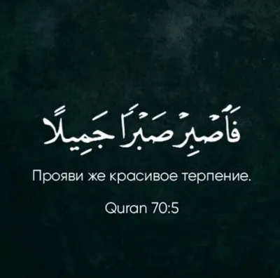 Буддийских монахов обучают смирению и терпению, и вот теперь понятно, для  чего и каким образом. / красивые картинки :: Free your mind :: продолжение  в комментах :: песок :: монахи :: мандала ::