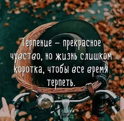 Наш опыт показывает, что мотивация и терпение могут сотворить невозможное»  — Национальный исследовательский университет «Высшая школа экономики»