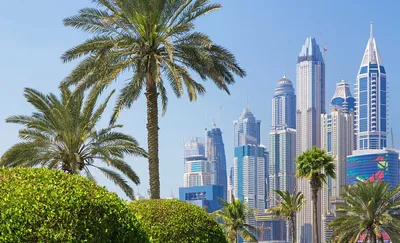 Пока карантин и путешествовать в ОАЭ нет возможности - будем наслаждаться  красивыми видами Дубая. Прекрасное фото @fetisova_2408 … | Burj khalifa,  Dubai, Landmarks
