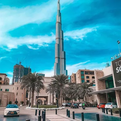 Отдых в ОАЭ. Все, что нужно знать об Арабских Эмиратах: климат, курорты,  кухня, виза