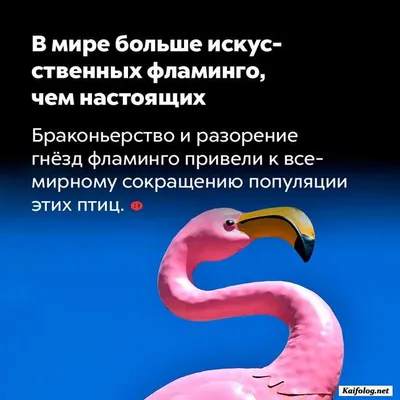 Красивые Места России, которые всем нужно обязательно посетить. |  Катя|Instagram|обо всем | Дзен