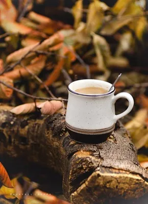 Autumn, fall leaves, hot cup of coffee on wooden table background | Пора  пить кофе, Идеи для блюд, Пить кофе