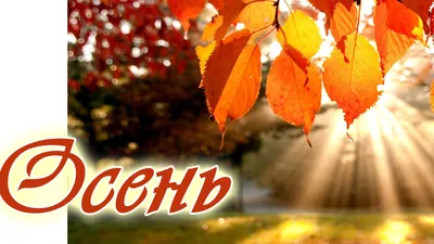Ловите теплые деньки! Красивые фото осени в Барнауле