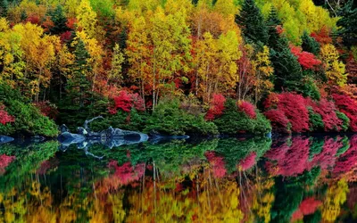 Осень в лесу, 4к,красивые виды» — создано в Шедевруме