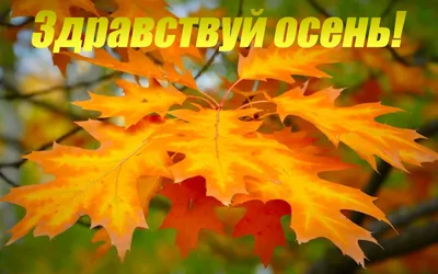 Осень - Creative Photos for Business and Human Development