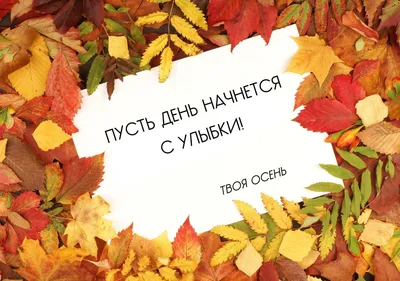 Осеннее доброе утро в картинках и стихах: открытки утренние с поэзией