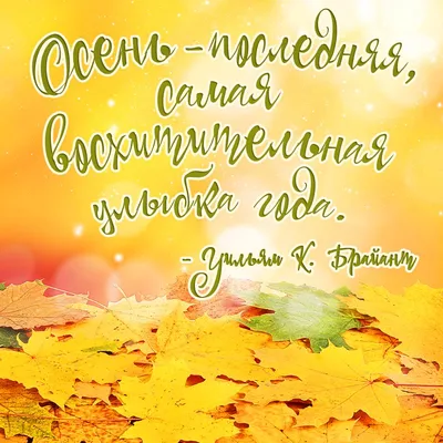 С первым днём осени. Привет, осень. 60 уютных картинок! | Позитивные  цитаты, Семейные цитаты, Вдохновляющие цитаты