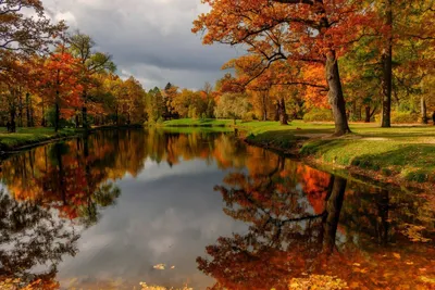 Картинки природы осень - фото и картинки: 69 штук