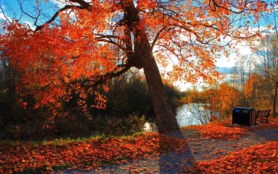 Картинки красивая осень (60 фото)