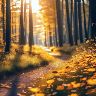Красивый осенний лес,осень,4к,…» — создано в Шедевруме