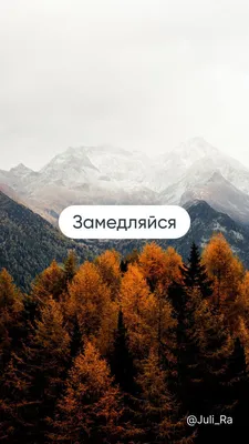 красивый осенний лес в уда, осенний лесной пейзаж пейзаж из осенних листьев  осенний пейзаж пейзаж, Hd фотография фото, завод фон картинки и Фото для  бесплатной загрузки