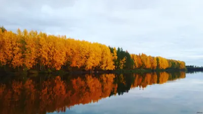 Красивые пейзажи осеннего леса, вид как в сказке - онлайн-пазл