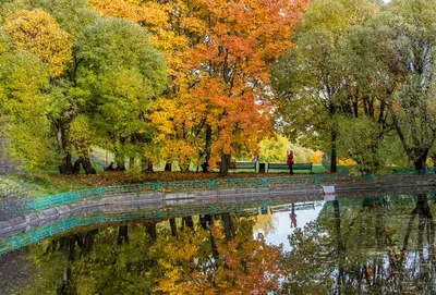 Картинки природы осень красивые пейзажи (69 фото) » Картинки и статусы про  окружающий мир вокруг