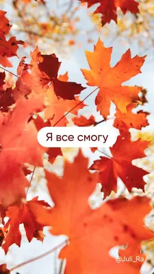 Ну, здравствуй, осень! 127 картинок на телефон, аву и просто для настроения  🍁 | Осенние картинки, Осенние портреты, Осень
