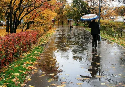 Осенний пейзаж, позняя осень, дождь…» — создано в Шедевруме