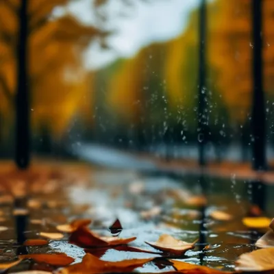 Осенний дождь картинки - 46 фото