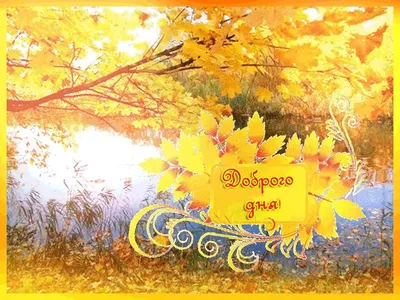 С Добрым Утром! Прекрасного Осеннего Денечка!🍂 Осенний ПРИВЕТИК!🍁 -  YouTube
