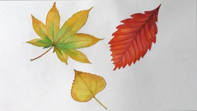 Красивые осенние листья из цветной бумаги - 66 фото
