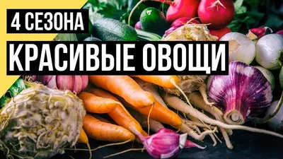 Букет из овощей, красиво, …» — создано в Шедевруме