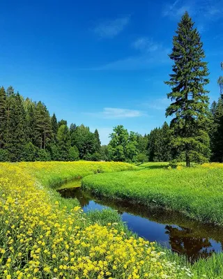 Самый красивый пейзаж в мире» — создано в Шедевруме