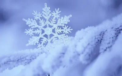 Завораживающая красота первого снега в великолепных картинках
