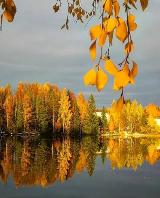 new-pin | Сладкий завтрак, Осень, Праздник