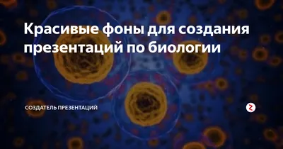 Красивые фоны для создания презентаций по биологии | Создатель презентаций  | Дзен