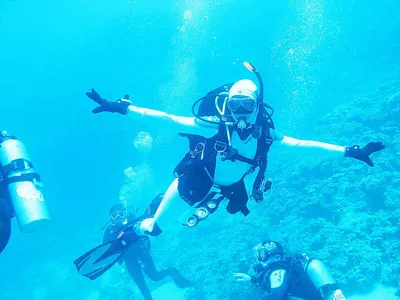 Какой удивительно-красивый подводный мир 😍🦈🐠🐟 | Instagram