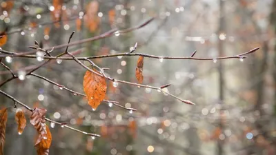 Теплая поздняя осень | Фотосайт СуперСнимки.Ру