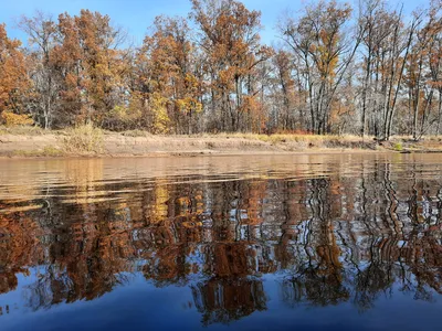 Поздняя осень за окном - красивые фото