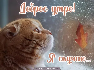 💗☕️🌷Доброе Утро! Хорошего Дня! Заряд Позитива на Весь День!💞 - YouTube