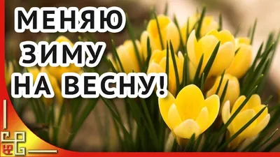 Картинки и Открытки с Весной - скачать бесплатно